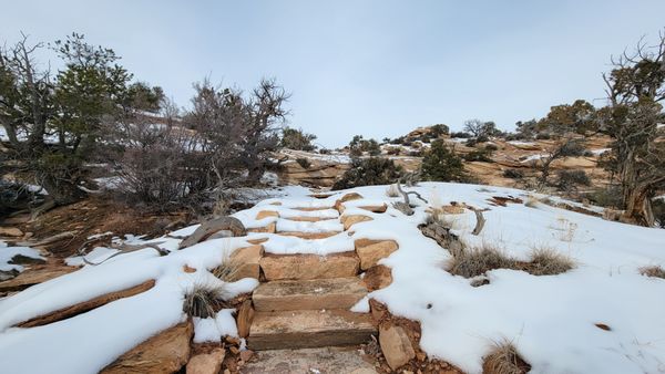 Natural Bridges National Monument by null