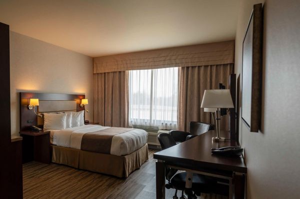 Quality Inn & Suites by null