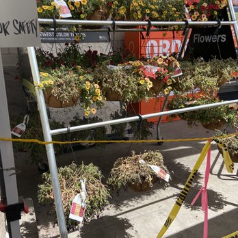 The Home Depot - Bad /dead flowers - Nurseries & Gardening Near Me - Fresno, California The Home Depot - Bad /dead flowers - Nurseries & Gardening Near Me - Fresno, California