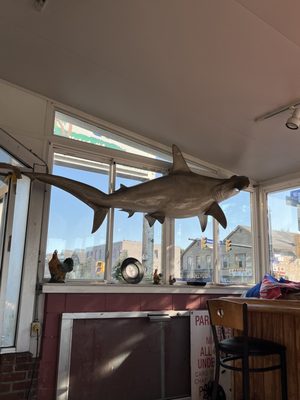 Niagara Cafe by null