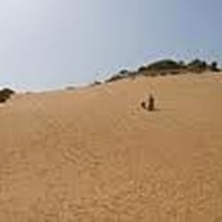 Merthyr Mawr Sand Dunes