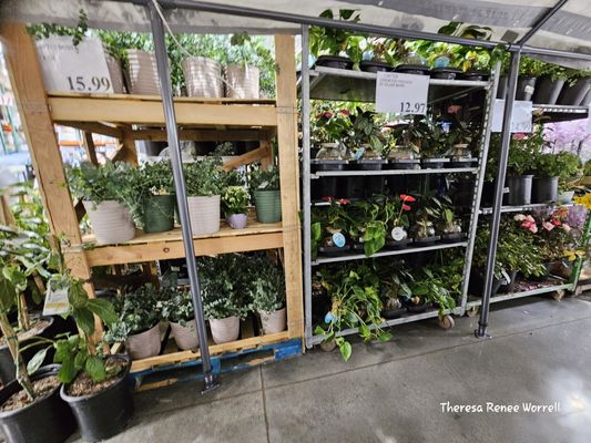 Costco Wholesale by null