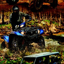 Quad Expert