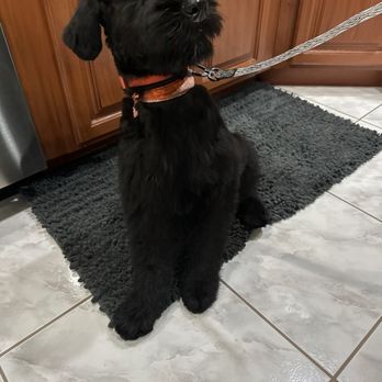 Petco - Pet Stores Near Me - Kissimmee, Florida