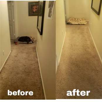 Pawsome Pets - Pet Services Near Me Pawsome Pets - Pet Services Near Me