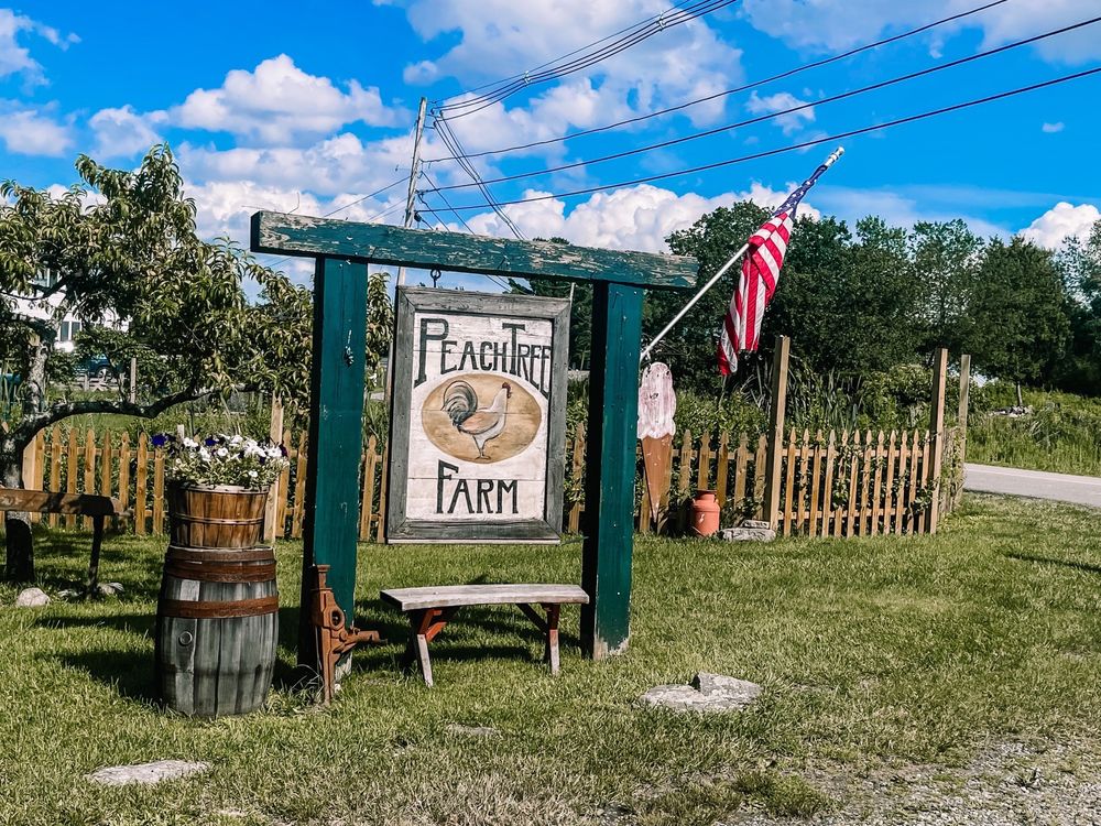 PEACH TREE FARMS 13 Photos & 32 Reviews 88 Brady Ave, Salem, NH Yelp