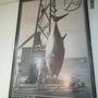 Photo of El Atun