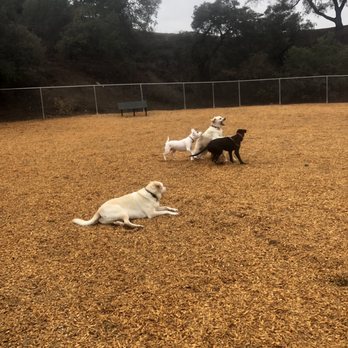 Diamond Bar Dog Park - Dog Parks Near Me - Diamond Bar, California