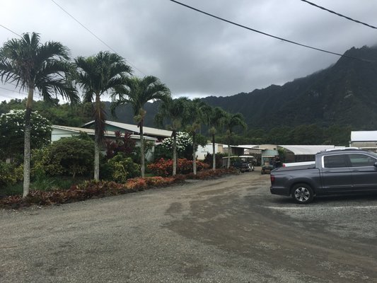 Hawaiian Sunshine Nursery, 41-436 Hihimanu St, Waimanalo, HI