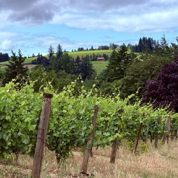 Durant Vineyards Tasting Room - Wineries Near Me - Dayton, Oregon