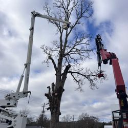 B & H Tree Service