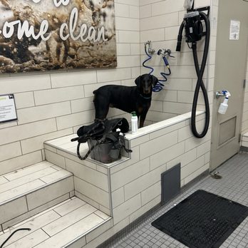 Petco - Cold wet dog waiting to be dried for 5-10 minutes - Pet Stores Near Me - Van Nuys, California Petco - Cold wet dog waiting to be dried for 5-10 minutes - Pet Stores Near Me - Van Nuys, California