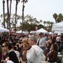 Photo of Haute Dog Bulldog Beauty Contest