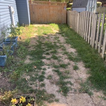 Ringers Landscape Services - Side yard - Landscaping Near Me - Crystal Lake, Illinois