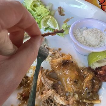 Coyote Rooftop Cantina - Bones in the Green Chile Chicken Enchiladas!! - Mexican Near Me - Santa Fe, New Mexico
