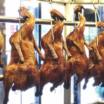 Fantasy Restaurant - Authentic Hong Kong style Roasted Duck! - Cantonese Near Me - Petaluma, California Fantasy Restaurant - Authentic Hong Kong style Roasted Duck! - Cantonese Near Me - Petaluma, California