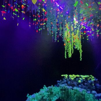 Imaginarium - Amusement Parks Near Me - Sacramento, California