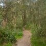 Photo of Trumper Park