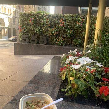 Poke Bar - Tuna salmon x spicy salmon and kale and pineapple and ponzu and a lot good view tho - Poke Near Me - San Francisco, California Poke Bar - Tuna salmon x spicy salmon and kale and pineapple and ponzu and a lot good view tho - Poke Near Me - San Francisco, California