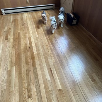 We Are Floors - My babies love the floors on the porch. Thanks Earl! - Flooring Near Me - Lanham, Maryland We Are Floors - My babies love the floors on the porch. Thanks Earl! - Flooring Near Me - Lanham, Maryland