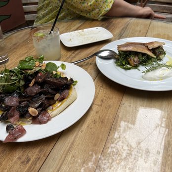 Bustan - Mushroom Musakhan, Smoked Trout - Mediterranean Near Me - New York, New York