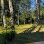 Photo of Red Pines Resort