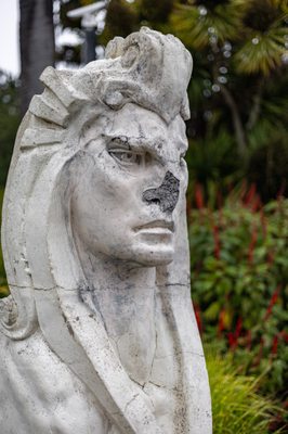 Golden Gate Park by null