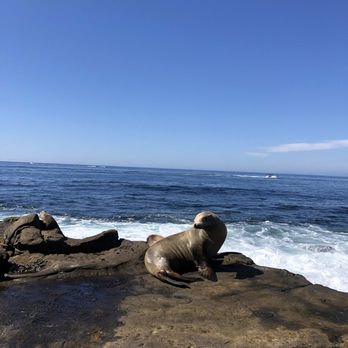 La Jolla Cove - Parks Near Me - La Jolla, California