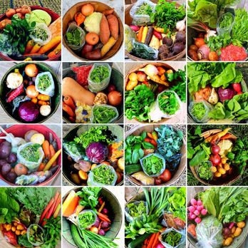 Pete's Greens - a variety of vegetables - CSA Near Me - Craftsbury, Vermont Pete's Greens - a variety of vegetables - CSA Near Me - Craftsbury, Vermont