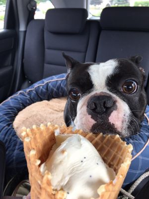 Ramone's Ice Cream Parlor by null