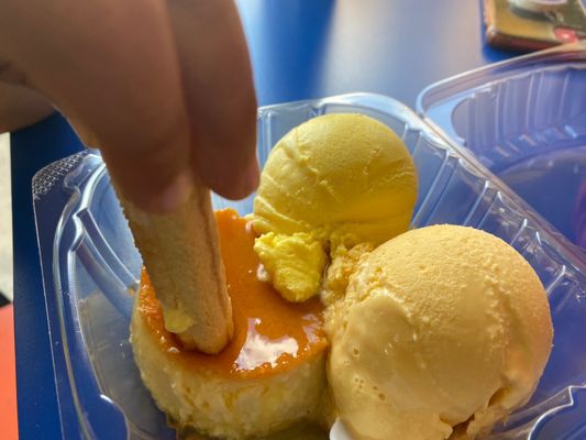 Miami Coppelia Ice Cream by null