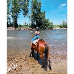 Barron Ranch - The horses drank right from the Yellowstone River.