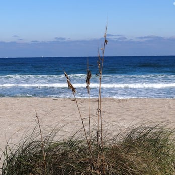 John D. MacArthur Beach State Park - Looking over the dune. - Parks Near Me - Palm Beach, Florida