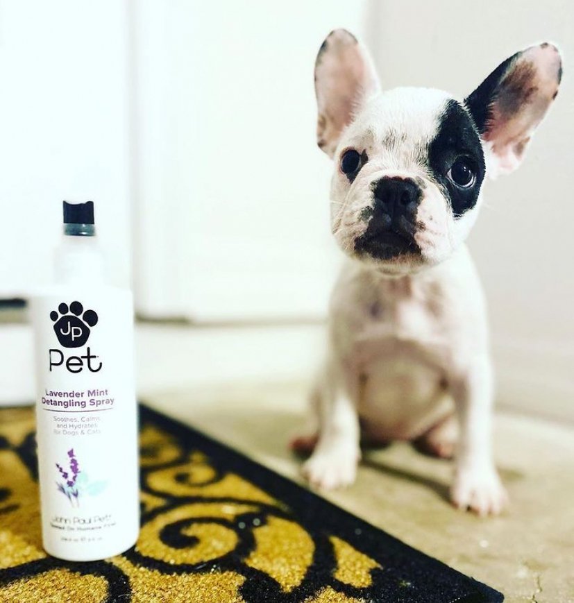 Vintage Hair Studio Logo