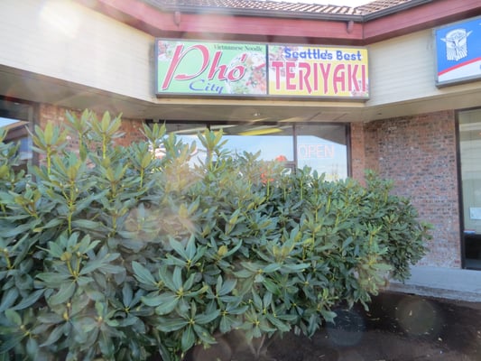 Seattle's Best Teriyaki & Pho by null