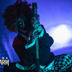 Indiana Fear Farm - Meet Chops!