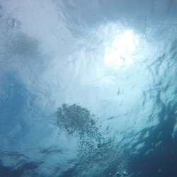 New River Dive Center