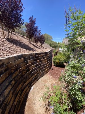 Cacti Landscapes Inc - Call Cacti Landscapes for all your residential landscape needs. We have been in business since 1992 in the Las Vegas Valley. Cacti Landscapes Inc - Call Cacti Landscapes for all your residential landscape needs. We have been in business since 1992 in the Las Vegas Valley.