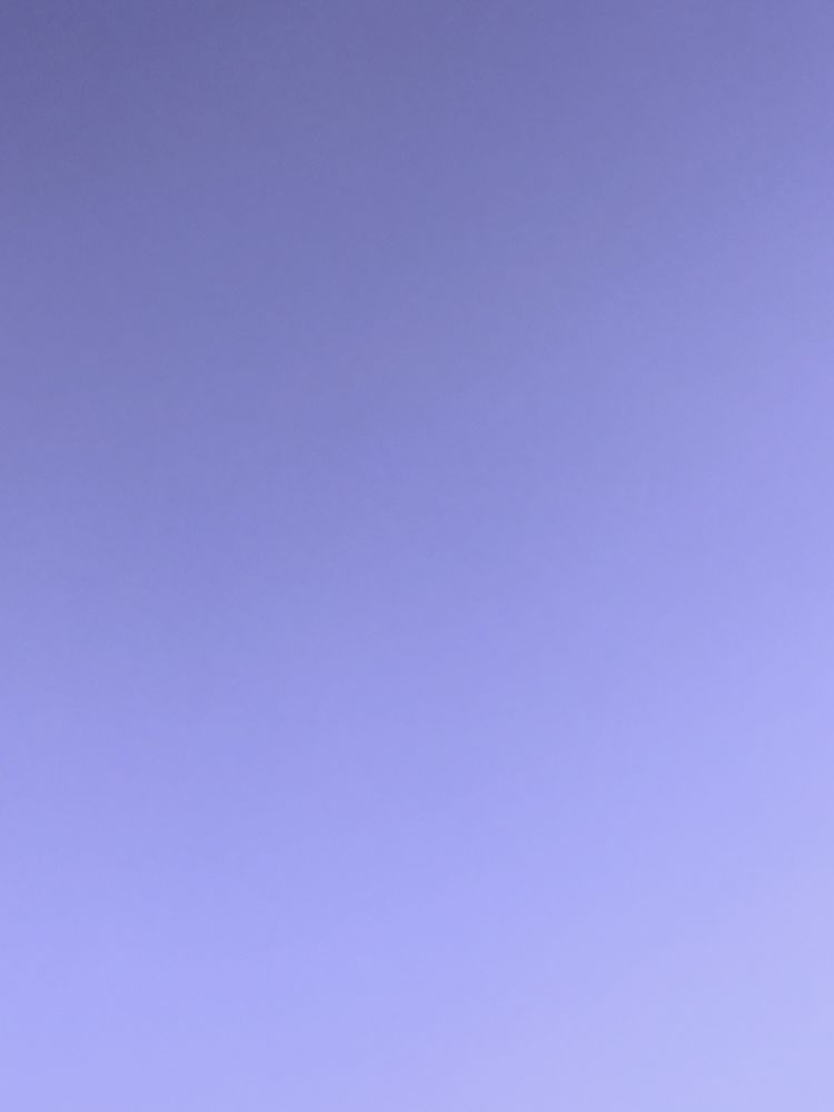 Slide of Clog Wizard Nepa