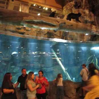 Bass Pro Shop - Guns & Ammo Near Me - Memphis, Tennessee