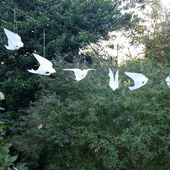 Green Spring Gardens - Plastic milk cartons - Botanical Gardens Near Me - Alexandria, Virginia