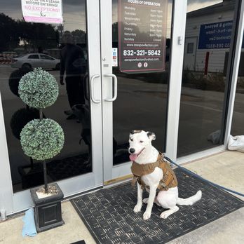 Zoe's Pawfection - Pet Groomers Near Me - Katy, Texas Zoe's Pawfection - Pet Groomers Near Me - Katy, Texas