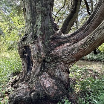 Stoneleigh: A Natural Garden - Botanical Gardens Near Me - Villanova, Pennsylvania