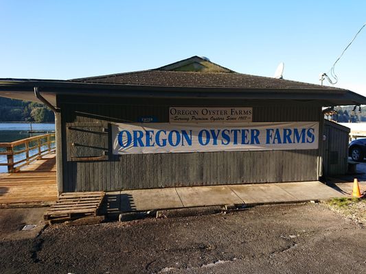 Oregon Oyster Farms by null