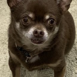 Señorita Margarita aka Rita Señorita Margarita aka Rita