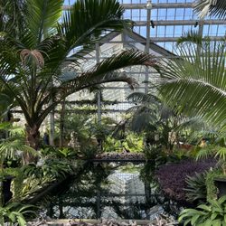 Garfield Park Conservatory - Section of interior.