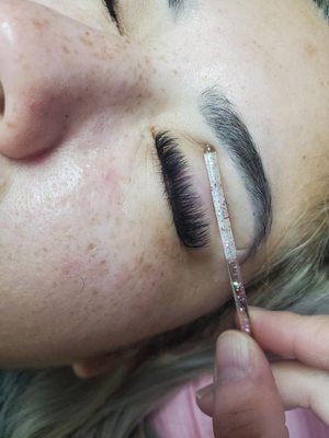 Wink Lashes by null