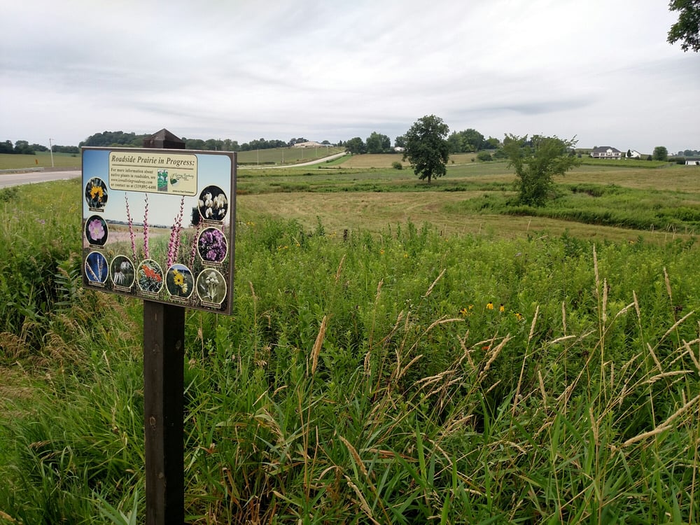 Social spots from Abbe Creek School Museum
