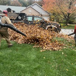 Fall