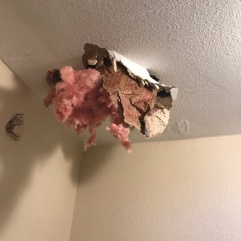 Mercado Tree Service - Bath ceiling was Damaged by big branch he cut - Tree Services Near Me Mercado Tree Service - Bath ceiling was Damaged by big branch he cut - Tree Services Near Me